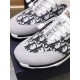 Factory    [Dior Dior] new models carefully crafted to detonate the whole scene! Innovative international brand This men's trendy men's sports casual shoes, the upper use of brand-specific fabric, leather cushioning, rub