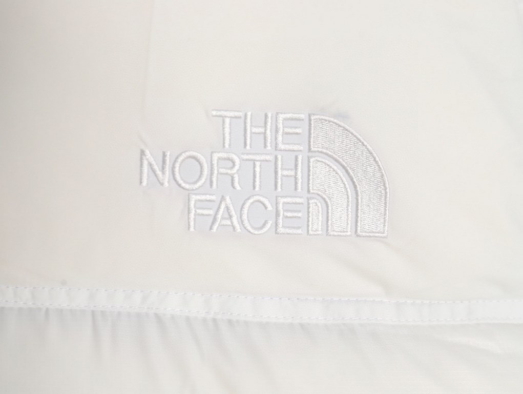 Detailed drawing on white background Top versionP525ModelC364Name THE NORTH FACE TNF  The North Face VINTAGE 1990S Down JacketFounded in 1966, The North Face is an important member of the publicly traded VF Group, headqu