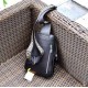 Original quality [brand name] new Fendi Fendi chest bag [product specifications] W19XH26XD6.5cm [product material] head layer cowhide [black] imported special shoulder strap F [product model] 0156-1.