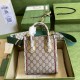 The collection Exquisite Gucci vividly adorns everything from footwear to travel.   with a full set of original green box packaging  Exquisite Gucci mini tote bag FAAWA 97, the collection name Exquisite Gucci vividly ado