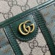 .   with a full set of original green box packaging   mini GG canvas mini shoulder bag, Gucci small leather accessories to break through the boundaries of design, continue to reinterpret the classic travel pieces in a pe