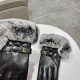 Louis Vuitton LV2022 fall and winter lazy rabbit hair sheepskin embroidered gloves   mobile touch screen, worth comparing     the same paragraph different quality, kill the market poor product, imported a first-class she