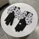 Chanel Chanel counter new wool gloves, polka dot big bow   fashion gloves, fall and winter warm padded lining, super whine bow  , on the hand super comfortable and soft, versatile! average size