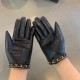 Explosion to   [top original single] official website synchronization women's new high-grade sheepskin gloves     100% selection of imported lambskin lining sheepskin lining Leather luster bright full soft delicate feel 