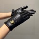 2023 new exclusive first   touch screen gloves CELINE CELINE (original quality) official website synchronization women's new high-grade sheepskin gloves    goddess preferred can not be missed    100 percent selection of 