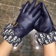 Dior  burst to   [top original single] official website synchronization women's new high-grade sheepskin gloves     100% selection of imported lambskin lining cashmere warm and comfortable better Leather luster bright fu