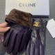 2022 new exclusive first   touch screen gloves CELINE CELINE (original quality) official website synchronization women's new high-grade sheepskin gloves    goddess preferred can not be missed    100 percent selection of 