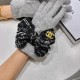 2022 new Chanel Chanel counter new wool gloves, fashion gloves, fall and winter warm padded lining, on the hand super comfortable and soft, versatile! Matching box   even size