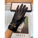 Explosion models to the goods   Gucci hot circle of friends of the women's leather gloves, horsebit buckle  first-class sheepskin Simple and generous static surface style add a small LOGO buckle, ultra-soft plus cashmere