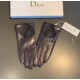 With packagingNew exclusive first   touch screen gloves Dior Dior lace lace   touch screen gloves (original quality) official website synchronization women's new high-grade sheepskin gloves    goddesses set the United St