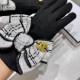 2022 new Chanel Chanel counter new wool gloves, fashion gloves, fall and winter warm padded lining, on the hand super comfortable and soft, versatile! Matching box   even size