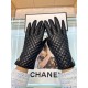 Chanel fall and winter women's gloves    imported sheepskin Leather ultra-thin soft and comfortable texture super group One size