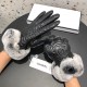 With a full set of packaging Chanel Chanel 2021 fall and winter lazy rabbit hair   embroidery double C sheepskin gloves   cell phone touch screen, worth comparing    the same paragraph of different qualities, kill the ma