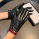 2022 new exclusive first   touch screen gloves Gucci Gucci new high-grade sheepskin gloves    goddesses set the United States preferred can not be missed    hundred percent of the selection of imported sheepskin Leather 