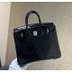 Hermes Birkin