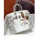 Hermes Birkin