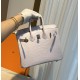 Hermes Birkin