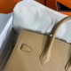 Hermes Birkin