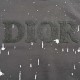 DiorDior 23Fw Graffiti Flocked Logo Crew Neck SweatshirtUsing 26 combed cotton   10 cotton, gram weight 420G, the fabric is made of domestic Xinjiang high-quality cotton yarn, Xinjiang cotton is recognized as the superio