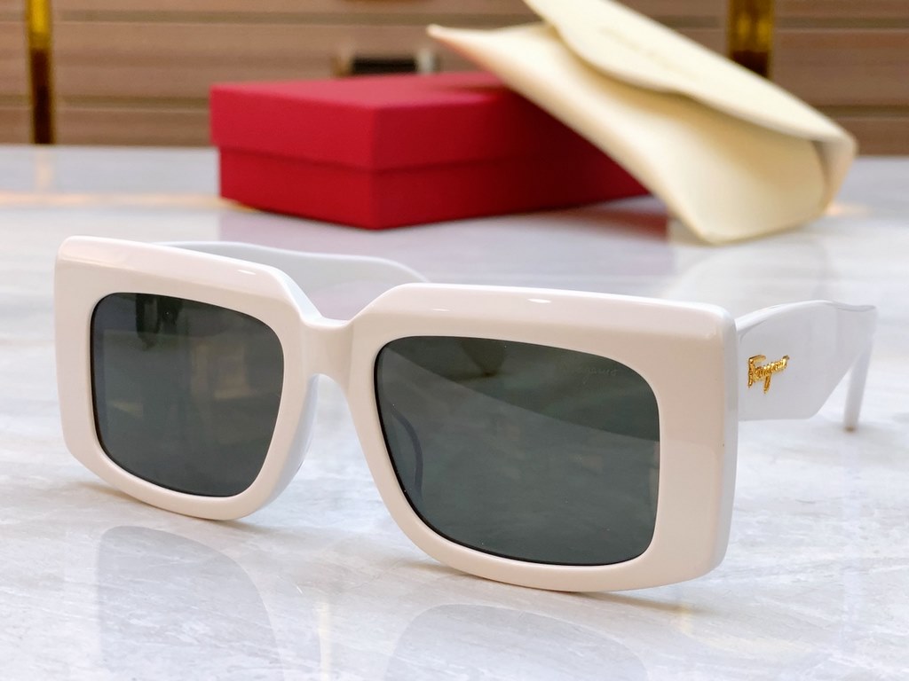 Salvatore ferragam 】Ferragam new sunglasses, MODEL SF1079S, SIZE 54 mouth 18-140