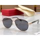 Salvatore ferragam] Ferragamo new sunglasses, MODEL SF2184, SIZE 56 口14-145