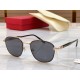 Salvatore ferragam] Ferragamo new sunglasses, MODEL SF2183, SIZE 52 口19-145