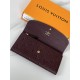 LV Louis Vuitton Wallet