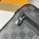 LV Louis Vuitton Wallet