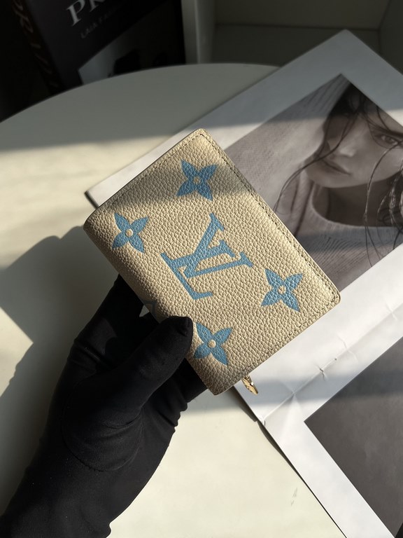 LV Louis Vuitton Wallet