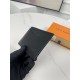 LV Louis Vuitton Wallet