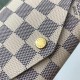 LV Louis Vuitton Wallet