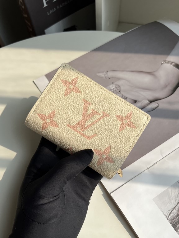 LV Louis Vuitton Wallet