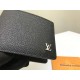 LV Louis Vuitton Wallet