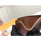 LV Louis Vuitton Wallet