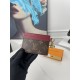 LV Louis Vuitton Wallet