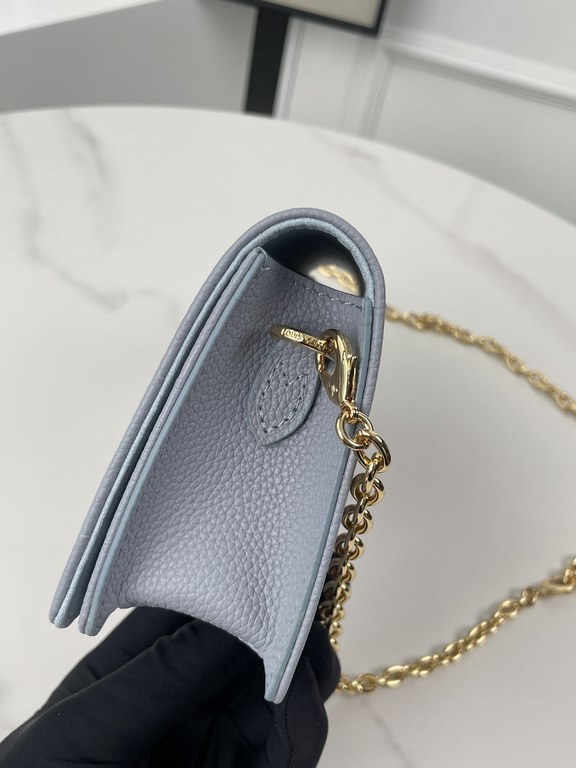 LV Louis Vuitton Wallet