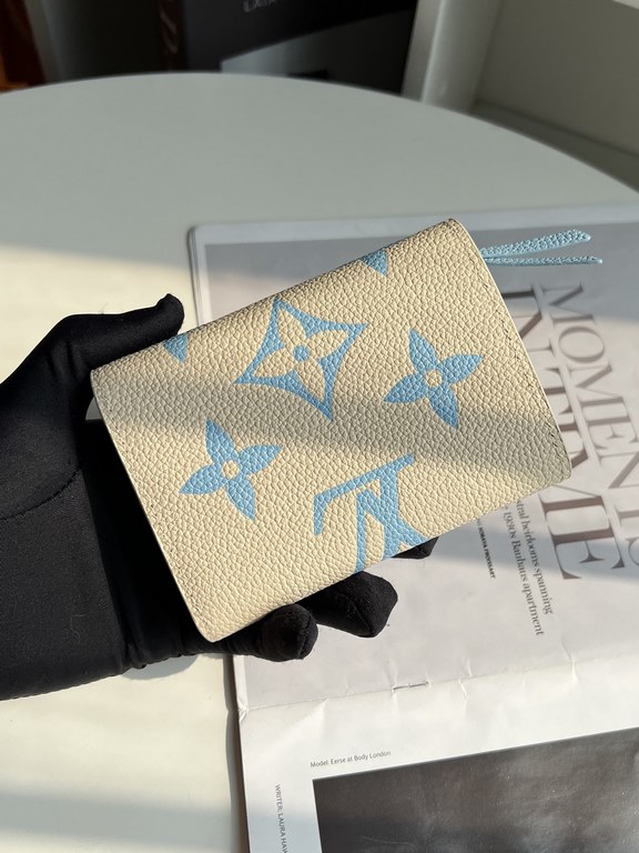 LV Louis Vuitton Wallet