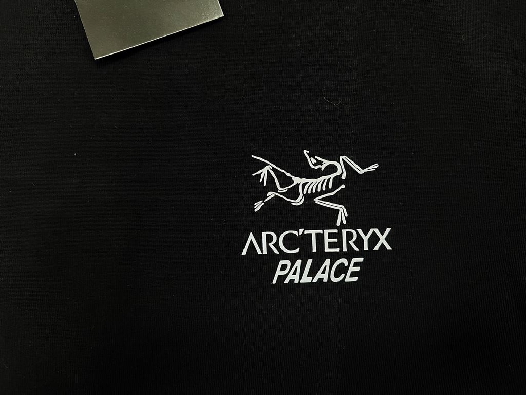 Top Replica Counter Exclusive ReleaseArcteryx Arcteryx Multi Bird Logo Ss Back Letter Logo Pattern Printed American Vintage Round Neck Short Sleeve Shirt Shoulder Sleeve T-ShirtThe fabric is made of 46 300g double yarn f