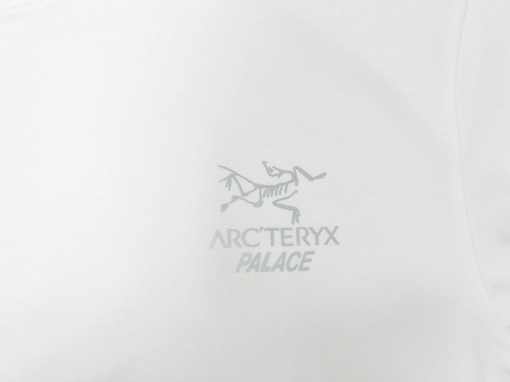 Top Replica Counter Exclusive ReleaseArcteryx Arcteryx Multi Bird Logo Ss Back Letter Logo Pattern Printed American Vintage Round Neck Short Sleeve Shirt Shoulder Sleeve T-ShirtThe fabric is made of 46 300g double yarn f