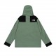 North Face Down Jacket