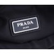 Batch [with original box] P family   Counter newest model handbag 2NH011 Arrival    Made of imported nylon waterproof fabric, detachable leather wrist, Prada logo lining, two inside pockets, one of them with a zipper, di