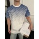 #DiorDior 24ss Gradient Full Logo Print Short Sleeve Up