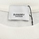 BurberryBurberry 24ss Backpack Print Short SleeveSummer channel latest short T Hand-painted bag logo print design, with super invincible charm Highly wearable couple models, summer temperament wear plus body! Guest impor