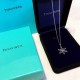 Tiffany Tiffany Snowflake necklace in 925 sterling silver. The snowflake symbolizes hope in the face of adversity, and also represents purity, beauty, and immaculateness. Seeing it on a hot summer day instantly makes you