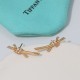 New Tiffany knot earrings short silver pin sub gold with original logo   beauty breathtaking this year's hottest new models   Tiffany earrings   [925] plating 18k gold thick gold plating with flying saucer ear plugs