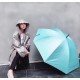 Tiffany Tiffany with high-grade original packaging     Hot star models Fully automatic one button to open Elegant solid wood handle Luxurious and comfortable Grip superb Alkaline-free fiber umbrella bone has a large angl