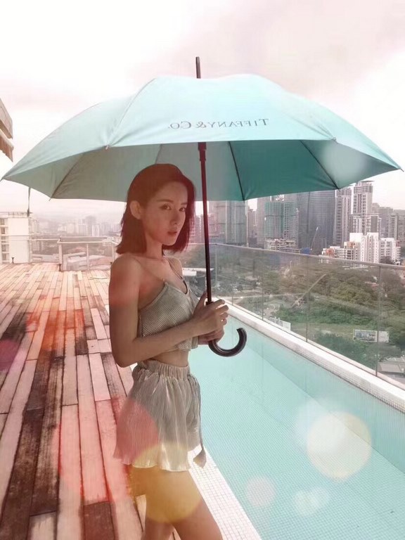 Tiffany Tiffany with high-grade original packaging     Hot star models Fully automatic one button to open Elegant solid wood handle Luxurious and comfortable Grip superb Alkaline-free fiber umbrella bone has a large angl