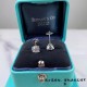 92 5  new upgraded version, with the original flying saucer earplugs, T home Tiffany four claw earrings   imported high carbon diamond S925 sterling silver popular in Europe Space nanotechnology Imported to put the real 